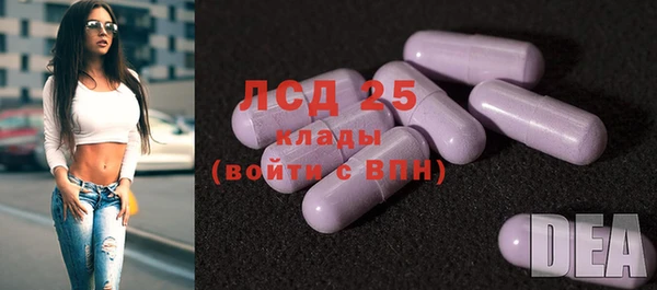 ПСИЛОЦИБИНОВЫЕ ГРИБЫ Алексин