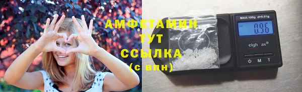 ПСИЛОЦИБИНОВЫЕ ГРИБЫ Алексин