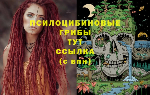 ПСИЛОЦИБИНОВЫЕ ГРИБЫ Алексин
