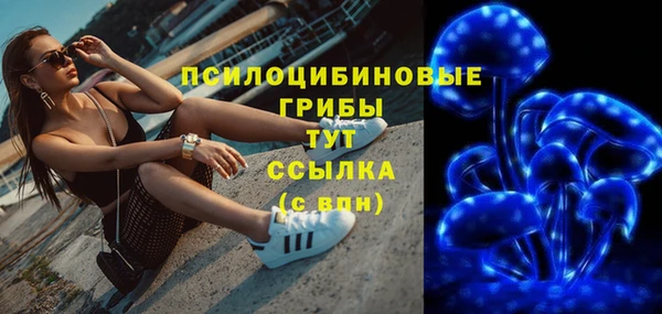 ПСИЛОЦИБИНОВЫЕ ГРИБЫ Алексин