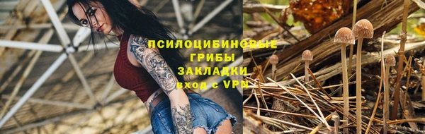 твердый Алзамай
