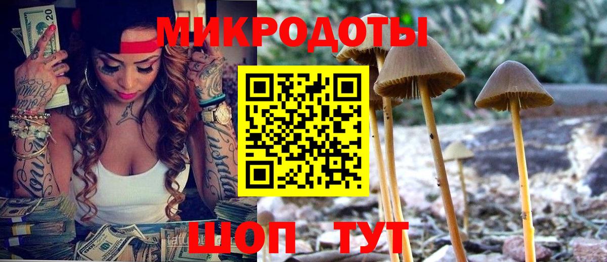 Галлюциногенные грибы Cubensis  Вход с VPN  Феодосия  Галлюциногенные грибы Cubensis 